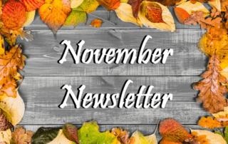 The Home Care Pro Newsletter: November 2020