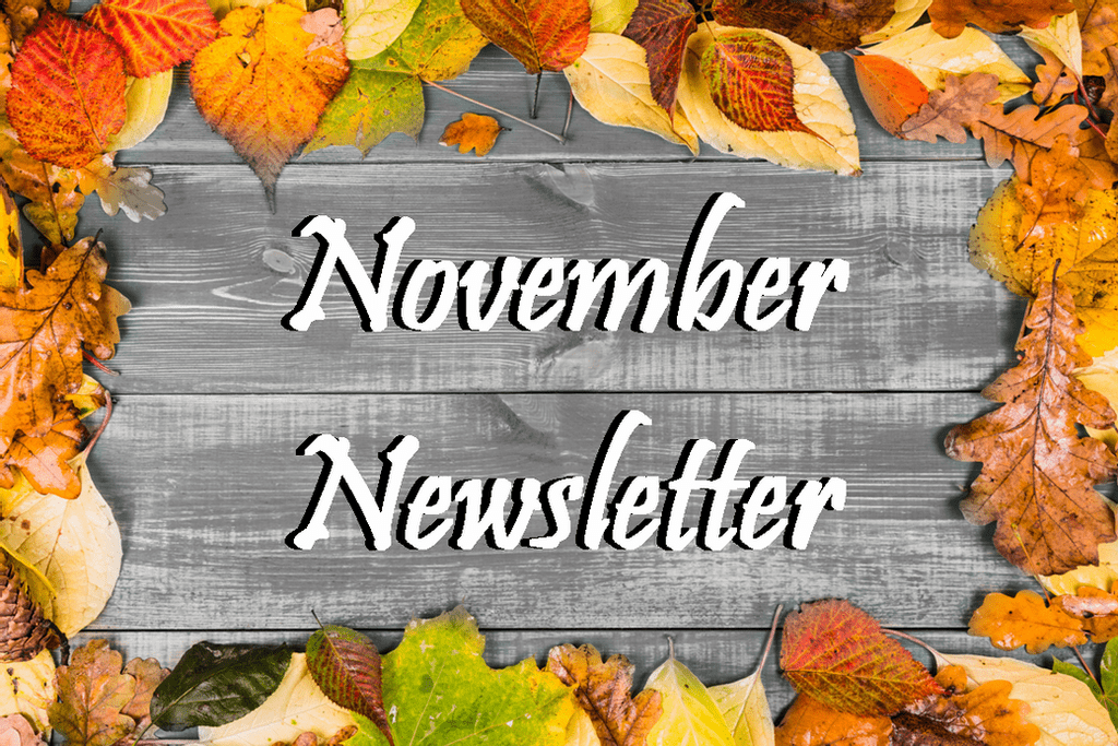 The Home Care Pro Newsletter: November 2020