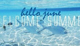 The Home Care Pro Newsletter: June 2022