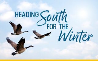 HomeWatch - A Must For Seasonal Residents