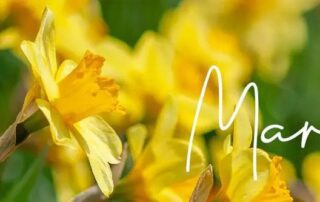 The Home Care Pro Newsletter: March 2023