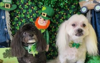 Dog Spotlight, April 2023