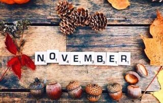 The Home Care Pro Newsletter: November 2023