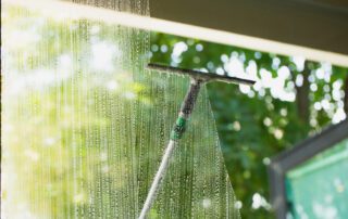 Expert Window Washing Services