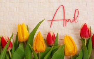 The Home Care Pro Newsletter: April 2024