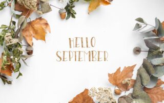 The Home Care Pro Newsletter: September 2024