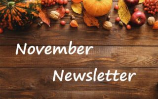 The Home Care Pro Newsletter: November 2024