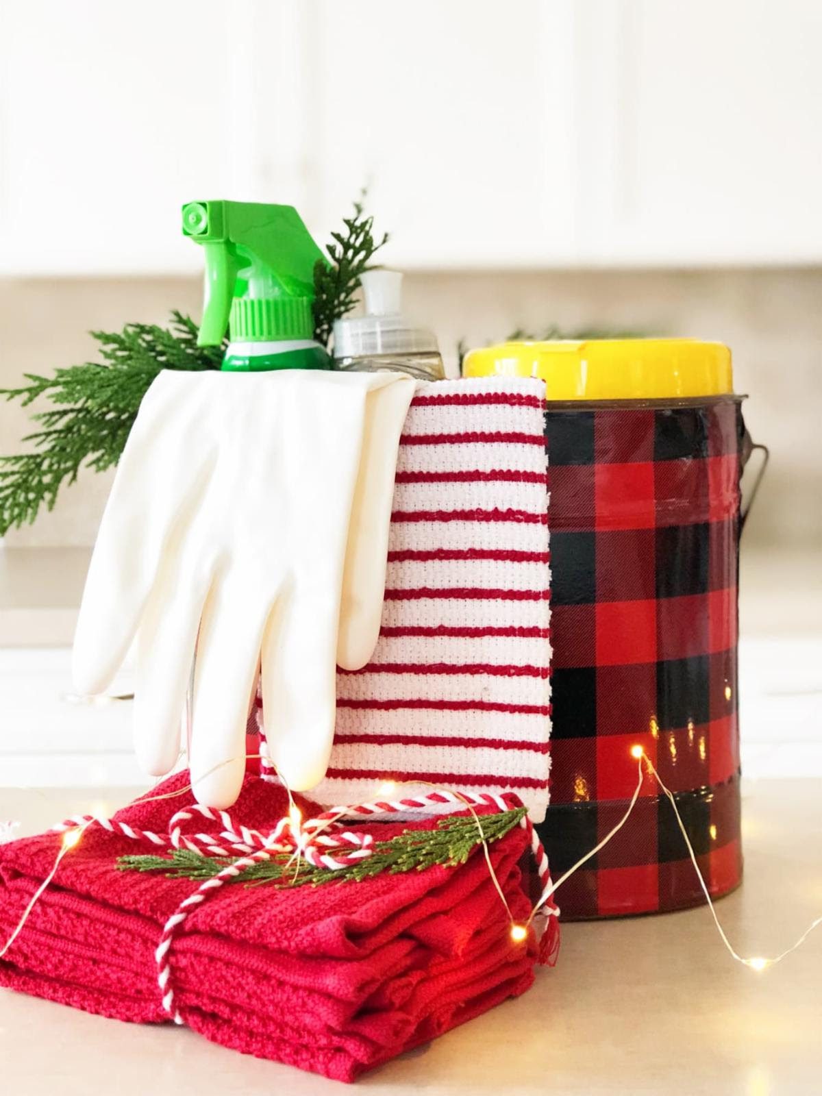 The Home Care Pro Newsletter: December 2025